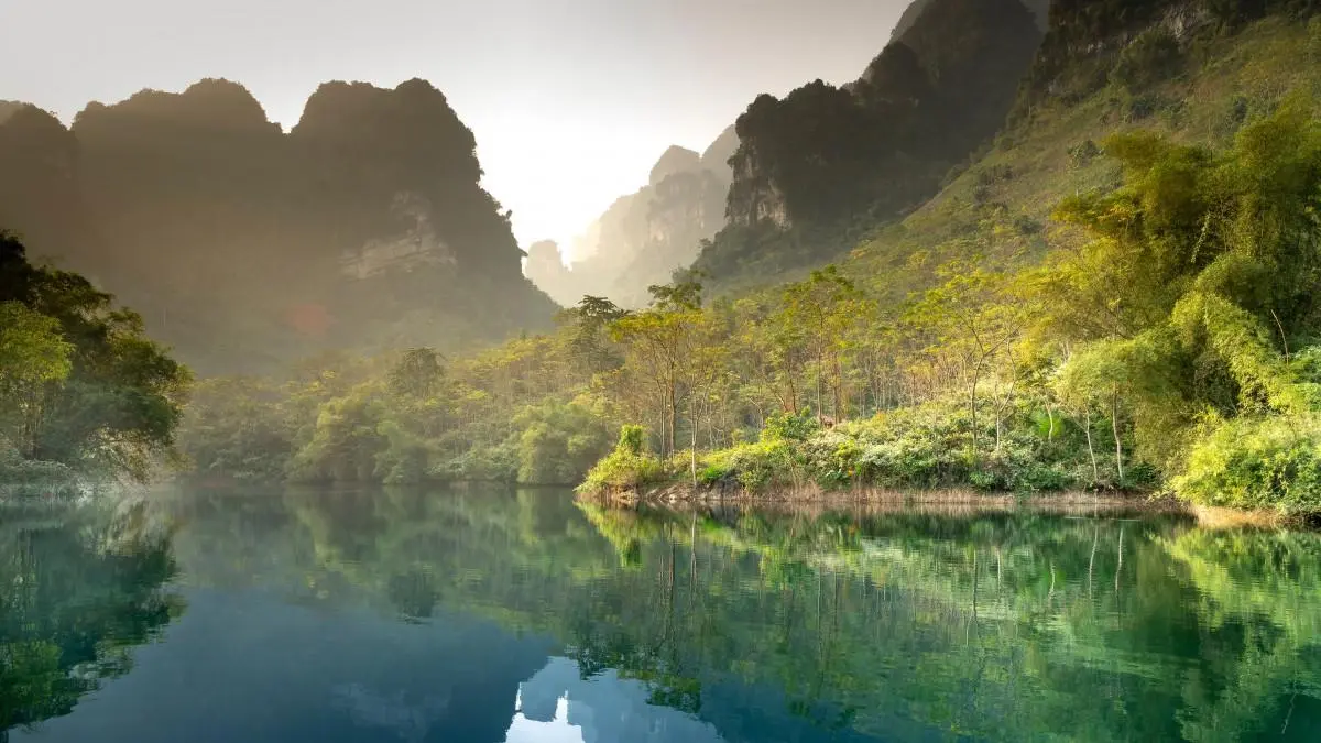 自动化智能高端